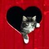 Avatare cu Animale - just_me_oana - Avatare