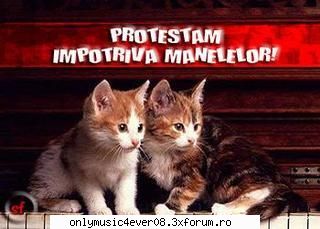:rotfl:  :rotfl: campanie