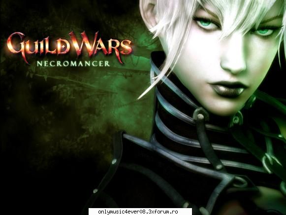 Poze - Guild_Wars_Necpomancer - games