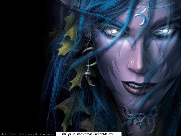 Poze - Warcraft III - Night Elf Box Cover - games