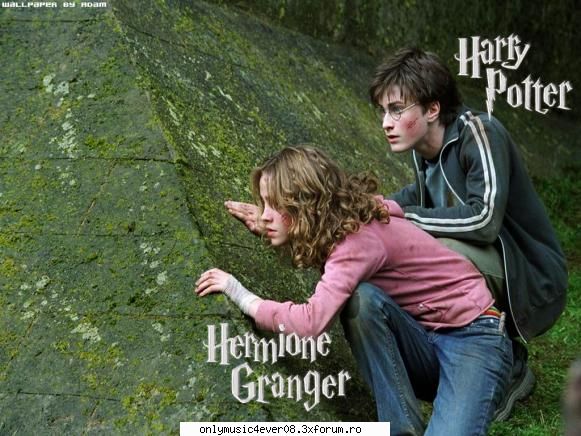 Wallpapers Harry Potter - Wallpapers Harry Potter - wallpapers